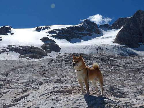 全国青少年足球交流合作联盟正式成立，推动行业发展，全国青少年足球邀请赛