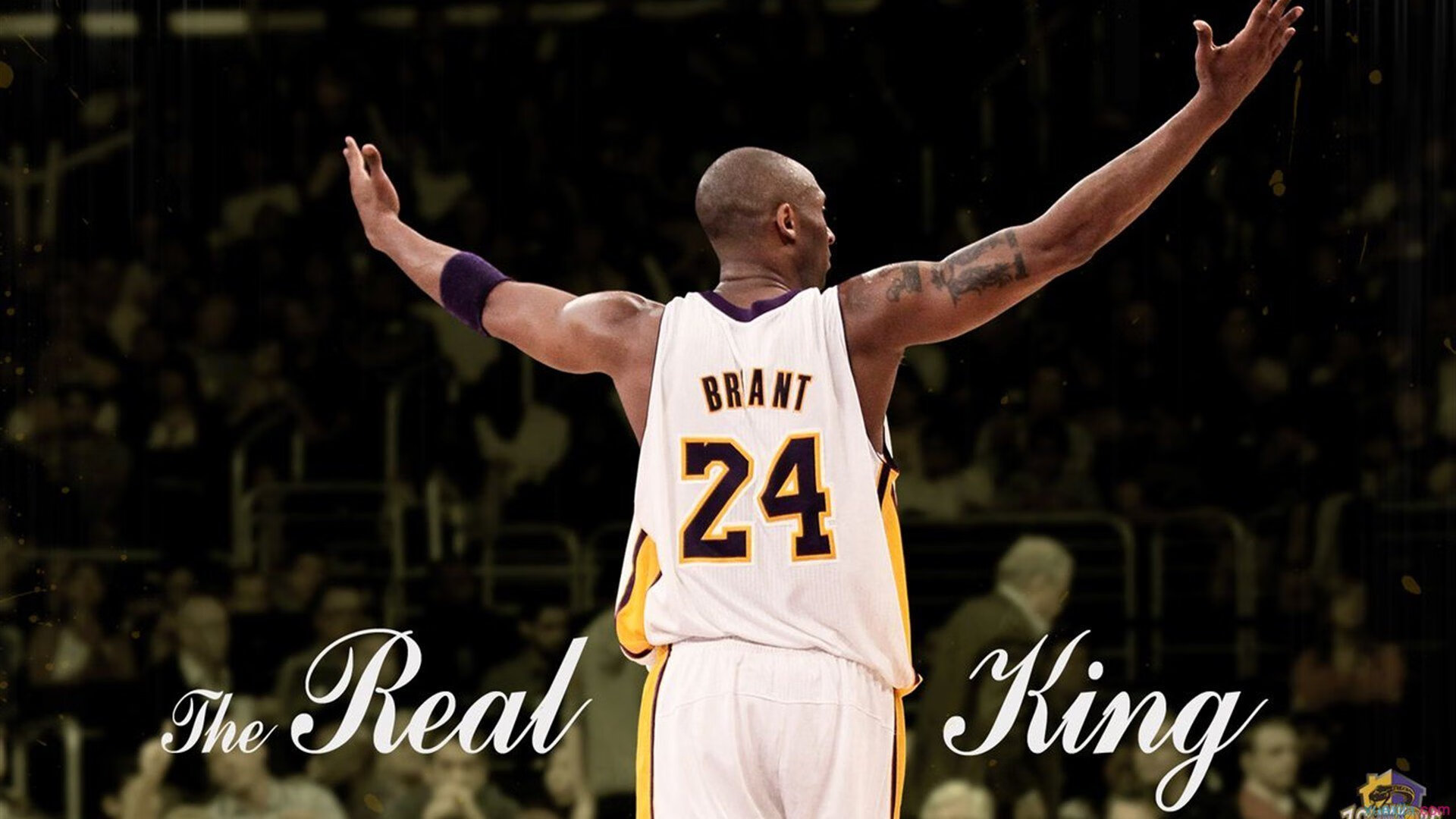 马克·阿特金森：以极速突破为南非队增添进攻威胁，马丁-阿特金森