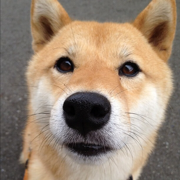 kaiyun体育综合-《电竞行业规范再升级：行业标准化推动产业健康发展》，电竞行业的相关政策